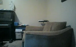 Hey Pandas, Take A Picture Of Something To Your Left (Closed)