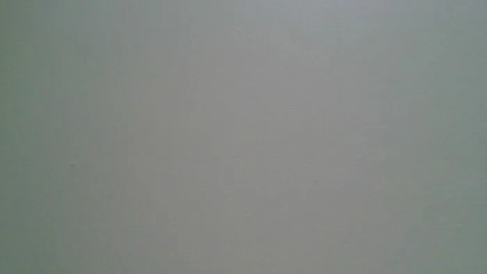 Wall