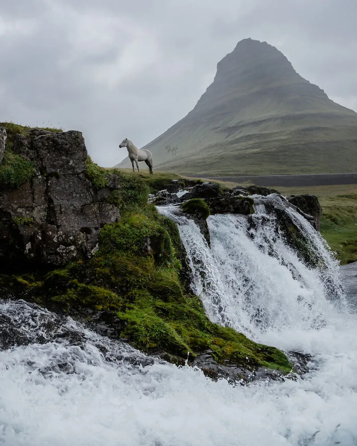 35 Pictures Of Beautiful Horses I Captured In Wild Icelandic Scenery (New Pics)