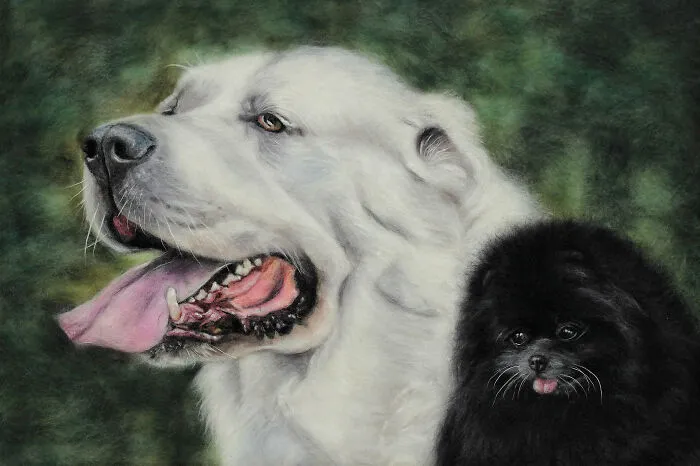 I Make Realistic Wool Pet Portraits That Preserve The Memory Of Beloved Companions (30 Pics)