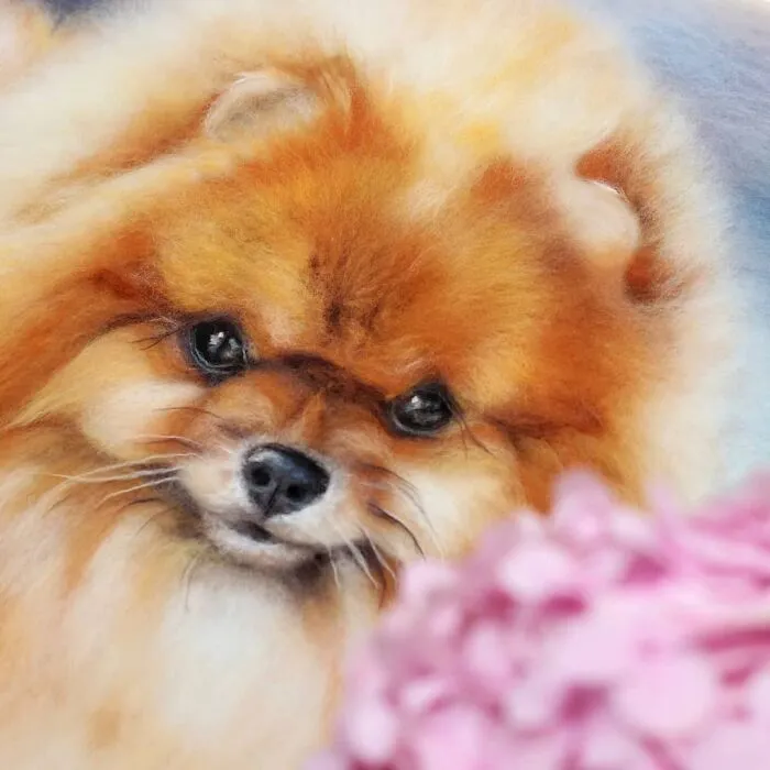 I Make Realistic Wool Pet Portraits That Preserve The Memory Of Beloved Companions (30 Pics)