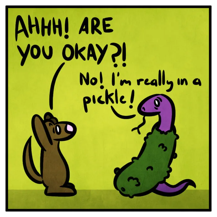 Pickles