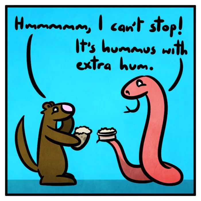 Hummus