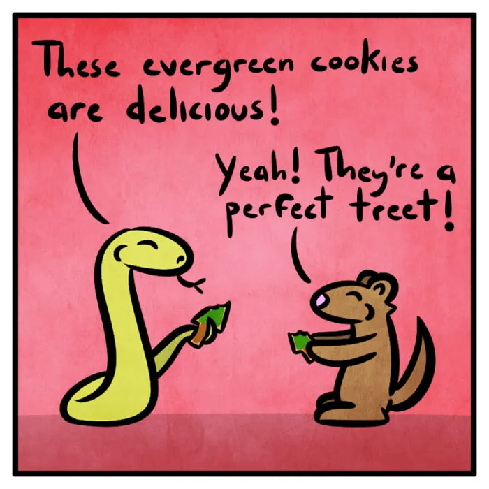 Cookies