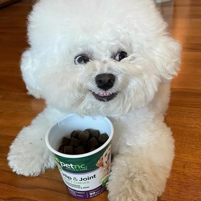 This Adorable Pup Makes The Silliest Faces (30 Pics)