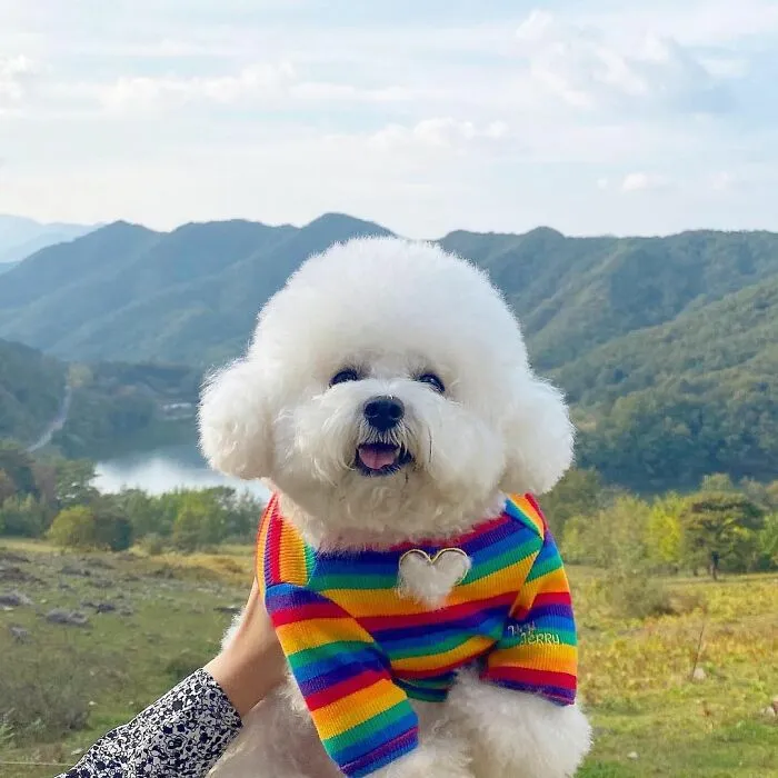 This Adorable Pup Makes The Silliest Faces (30 Pics)