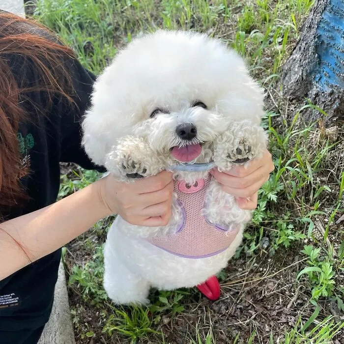 This Adorable Pup Makes The Silliest Faces (30 Pics)