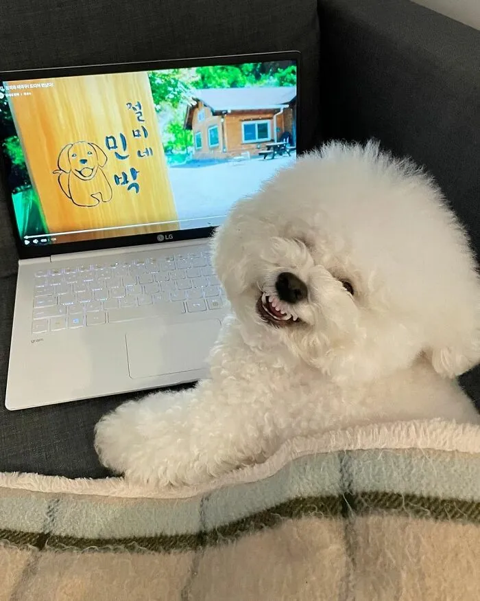 This Adorable Pup Makes The Silliest Faces (30 Pics)