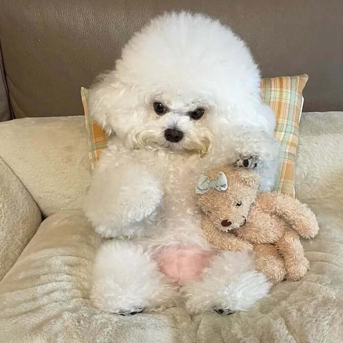 This Adorable Pup Makes The Silliest Faces (30 Pics)