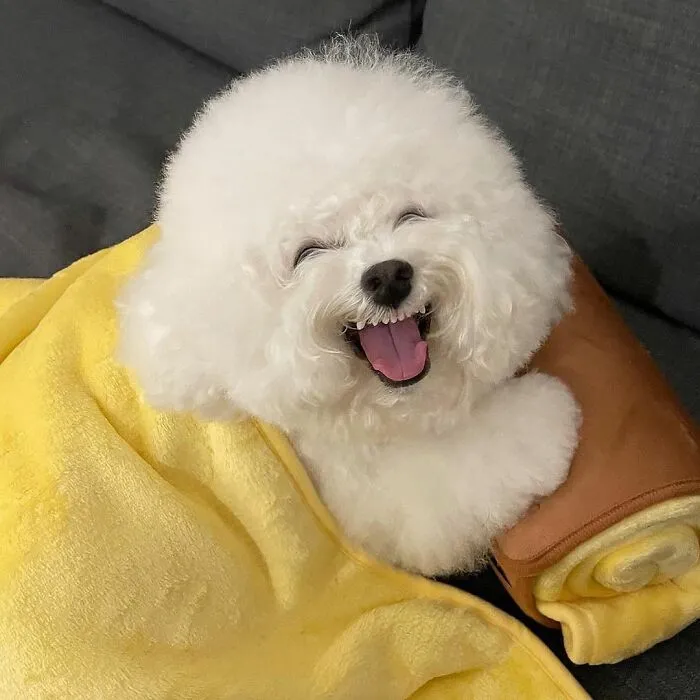 This Adorable Pup Makes The Silliest Faces (30 Pics)