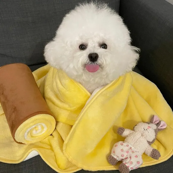 This Adorable Pup Makes The Silliest Faces (30 Pics)