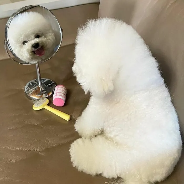 This Adorable Pup Makes The Silliest Faces (30 Pics)