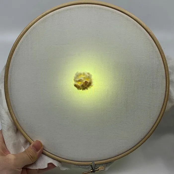 Artist Makes 31 3D Embroideries Of Food, And They Are A Feast For The Eyes
