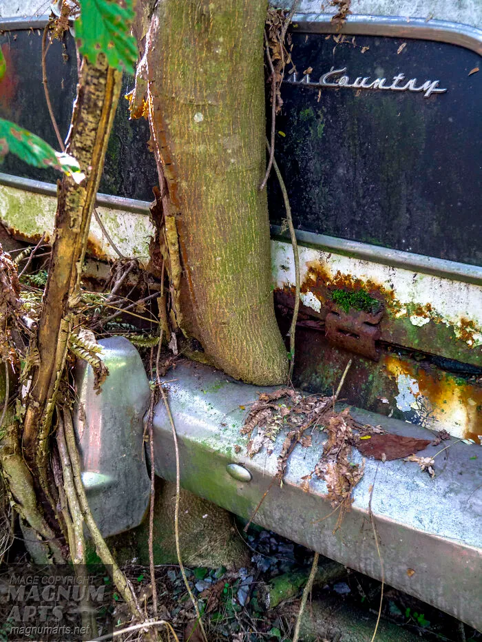 I Took Pictures In Old Car City, A Classic Car Graveyard (23 Pics)