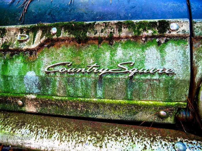 I Took Pictures In Old Car City, A Classic Car Graveyard (23 Pics)
