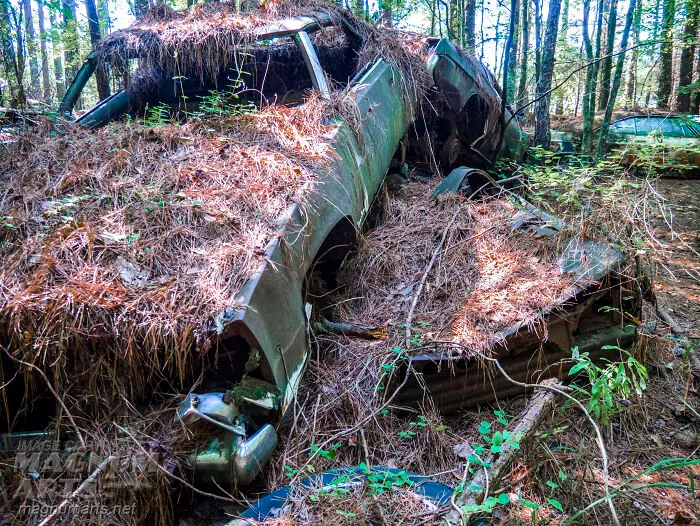 I Took Pictures In Old Car City, A Classic Car Graveyard (23 Pics)