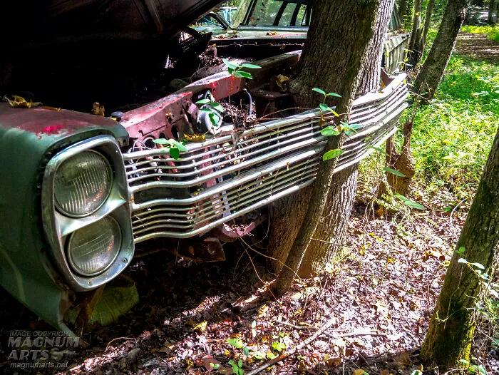 I Took Pictures In Old Car City, A Classic Car Graveyard (23 Pics)
