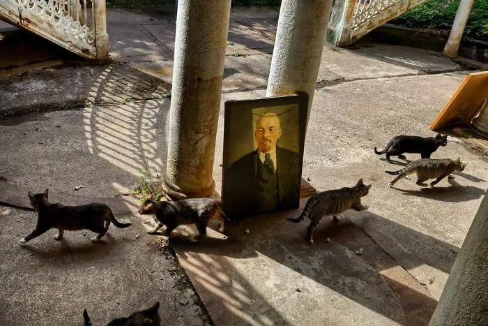 This Is What Russia Really Looks Like: 40 Honest Photos By Aleksandr Petrosyan (New Pics)
