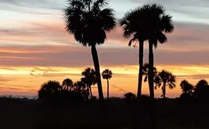 Sunset On Treasure Island, Fl.