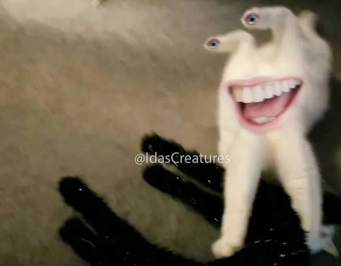 People Are Submitting Pics Of Their Pets To This Instagrammer, And She Gives Them Hilarious Makeovers (58 New Pics)