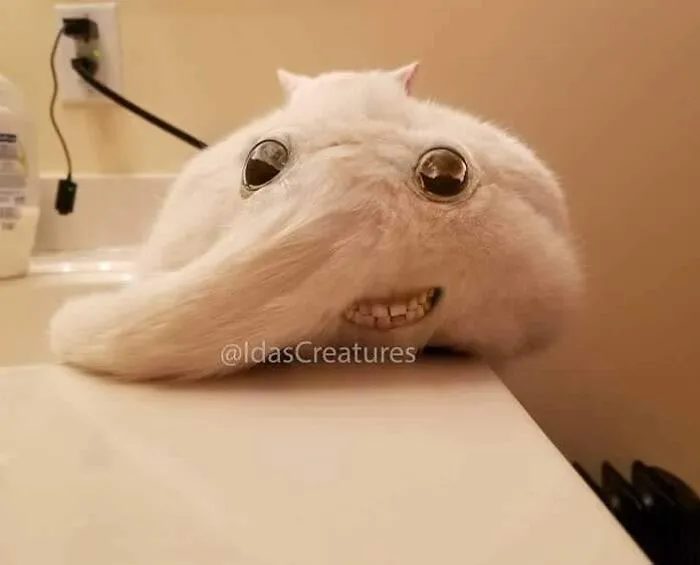 People Are Submitting Pics Of Their Pets To This Instagrammer, And She Gives Them Hilarious Makeovers (58 New Pics)
