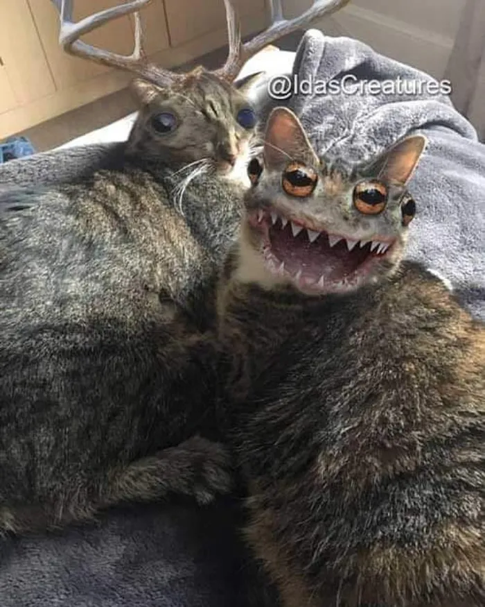 People Are Submitting Pics Of Their Pets To This Instagrammer, And She Gives Them Hilarious Makeovers (58 New Pics)
