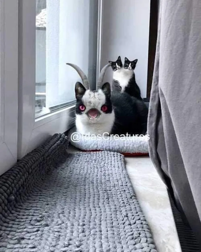 People Are Submitting Pics Of Their Pets To This Instagrammer, And She Gives Them Hilarious Makeovers (58 New Pics)