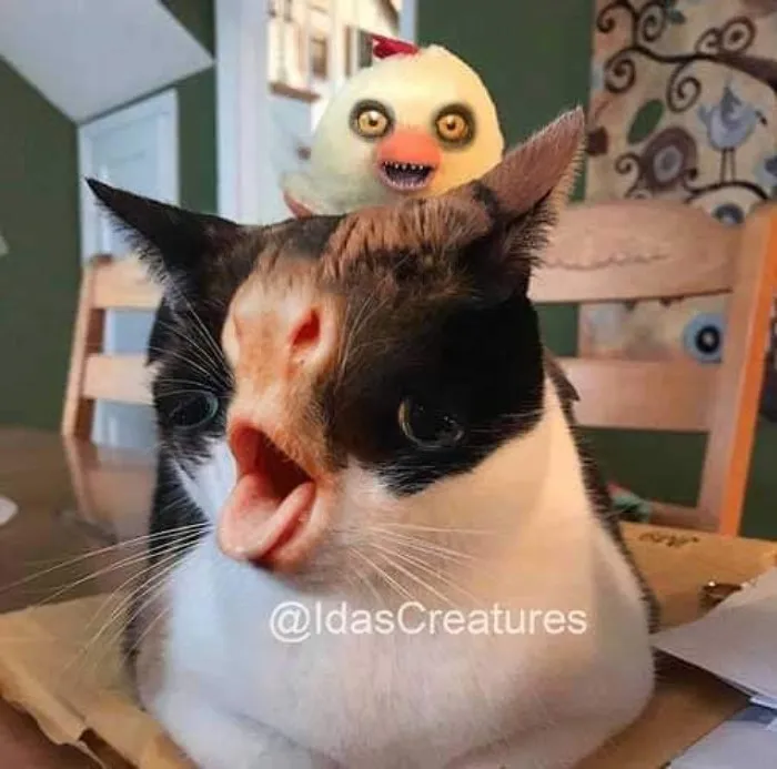 People Are Submitting Pics Of Their Pets To This Instagrammer, And She Gives Them Hilarious Makeovers (58 New Pics)