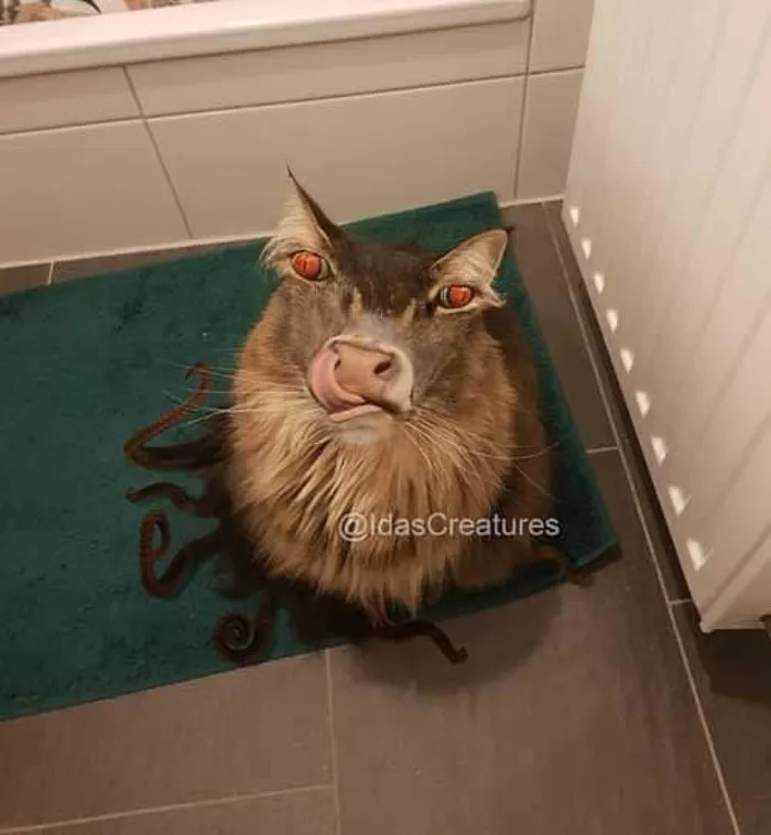 People Are Submitting Pics Of Their Pets To This Instagrammer, And She Gives Them Hilarious Makeovers (58 New Pics)