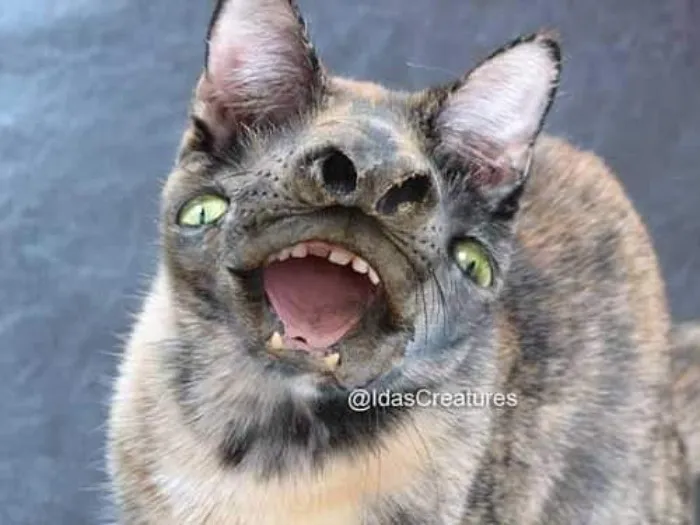 People Are Submitting Pics Of Their Pets To This Instagrammer, And She Gives Them Hilarious Makeovers (58 New Pics)