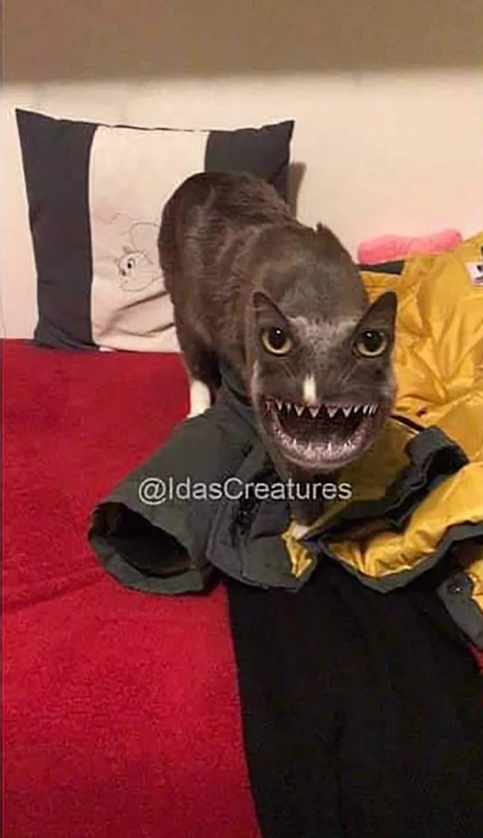 People Are Submitting Pics Of Their Pets To This Instagrammer, And She Gives Them Hilarious Makeovers (58 New Pics)
