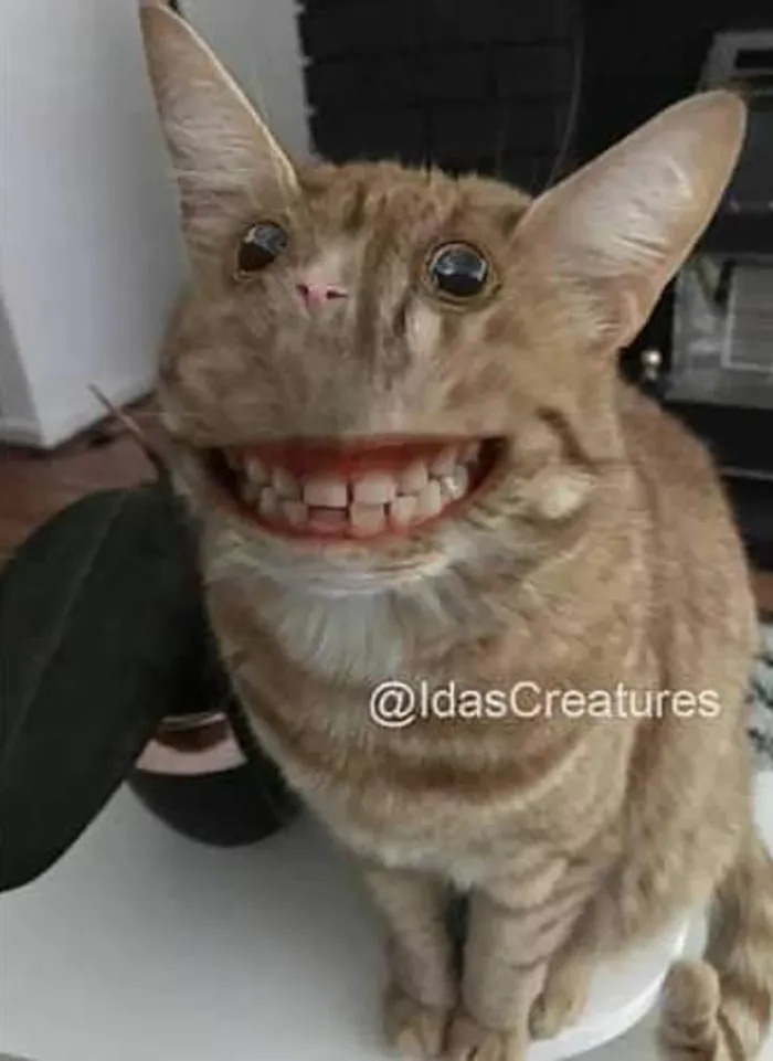 People Are Submitting Pics Of Their Pets To This Instagrammer, And She Gives Them Hilarious Makeovers (58 New Pics)