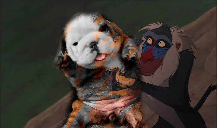 Is Now Tigog
