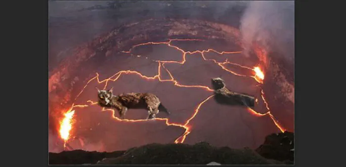 Lava Cat *ignore My Bad Editing*