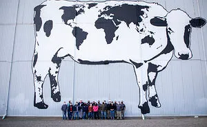 We Painted The Biggest Cow In The World