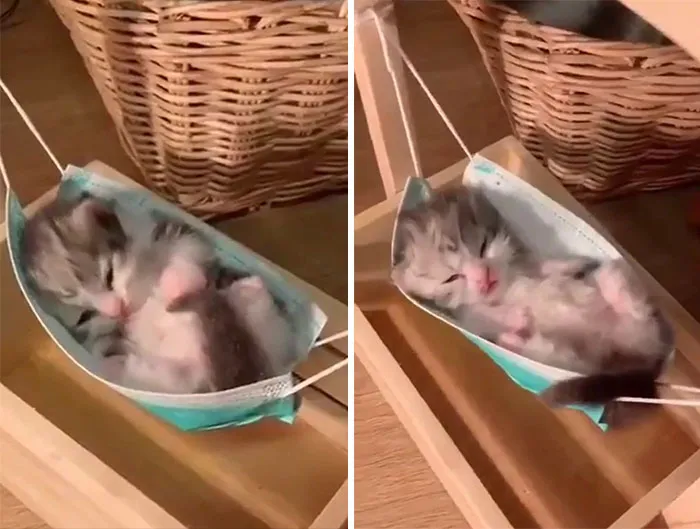 Está tan cansado