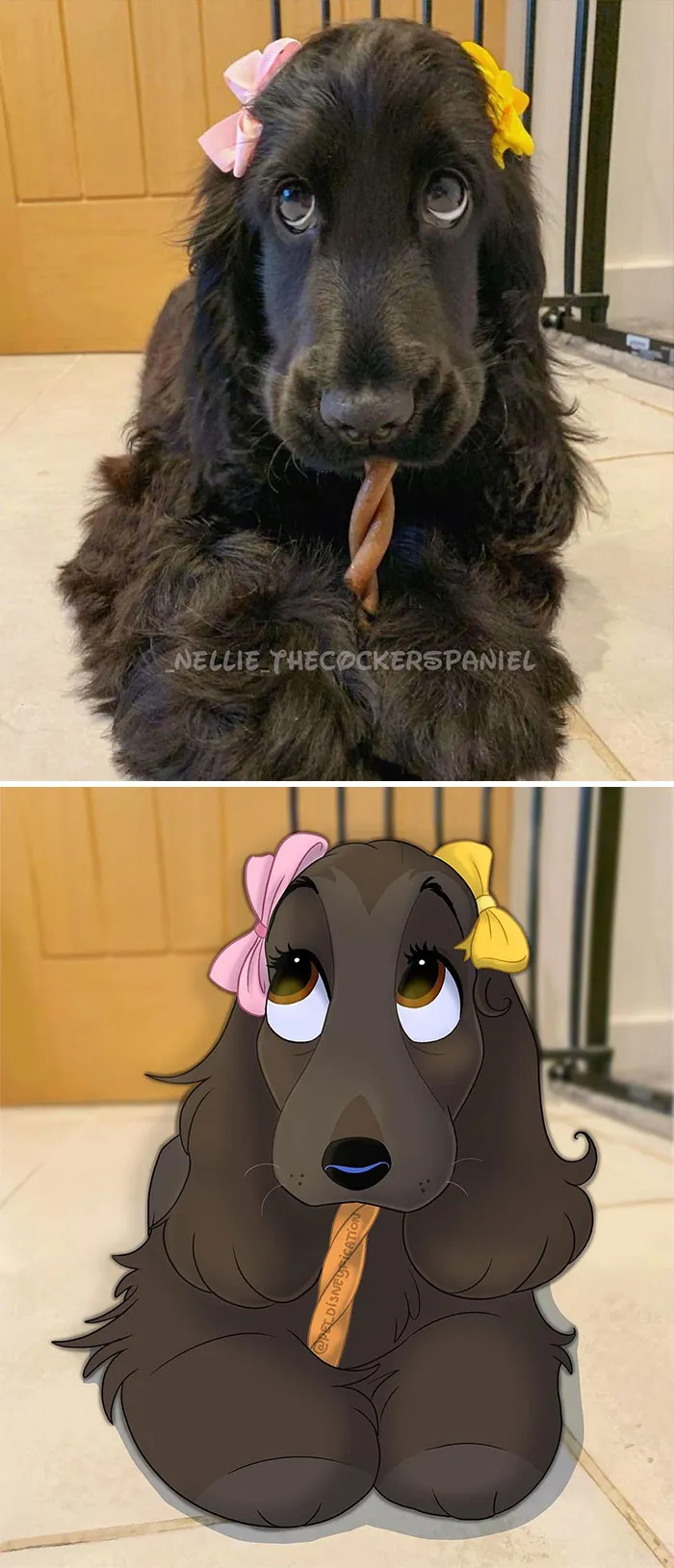 La gente envía fotos de sus mascotas a esta artista y ella las disneyfica (30 imágenes nuevas)