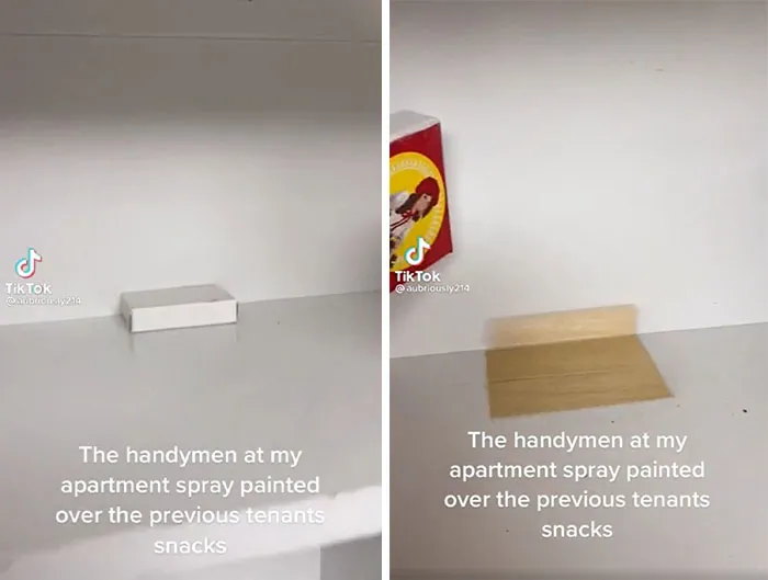 Painted The Shelves, Boss