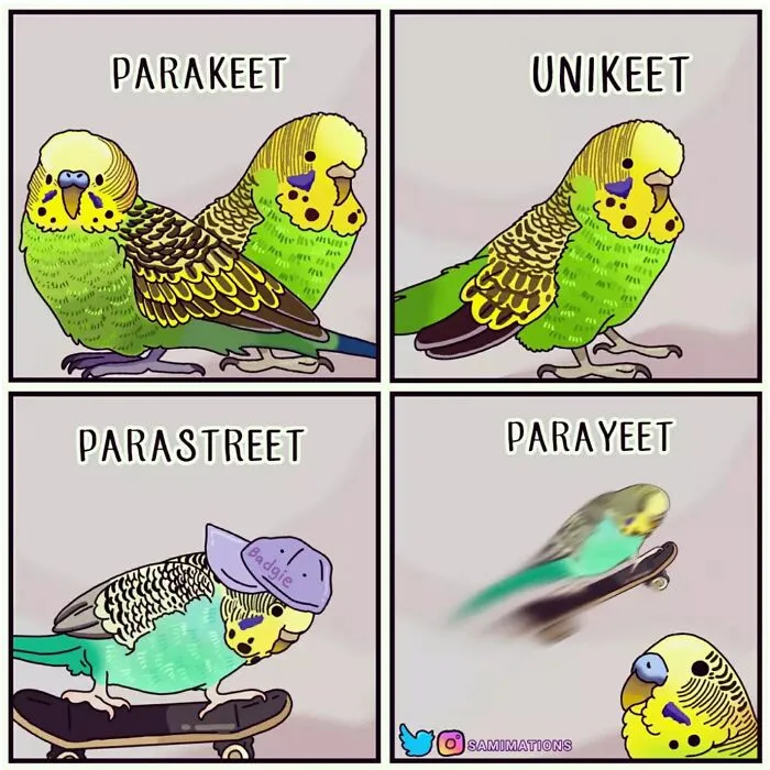 Parakeet