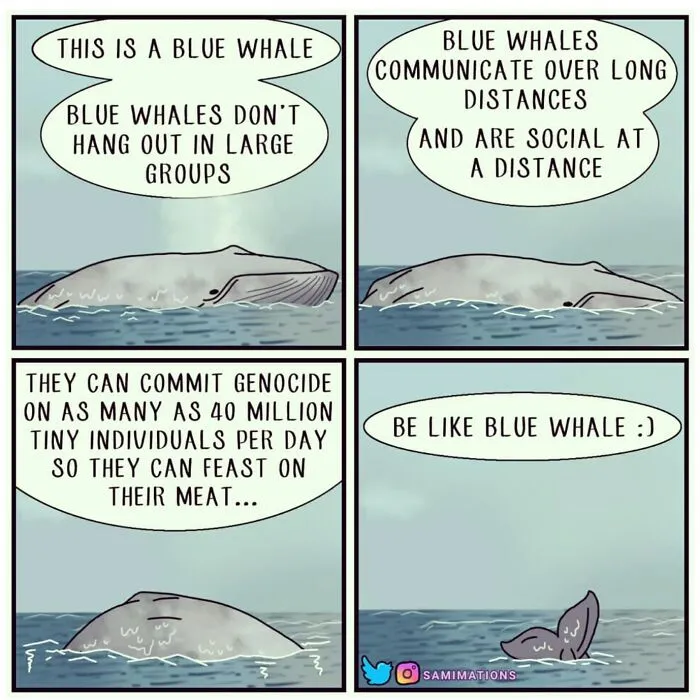 Be Like The Blue Whale