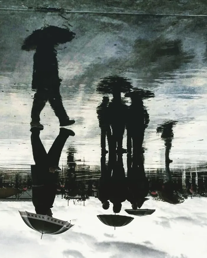 I Discover Hidden Parallel Worlds In Puddles And Other Reflections On My Smartphone (30 Pics)
