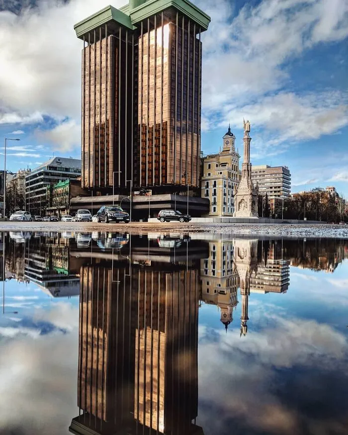 I Discover Hidden Parallel Worlds In Puddles And Other Reflections On My Smartphone (30 Pics)