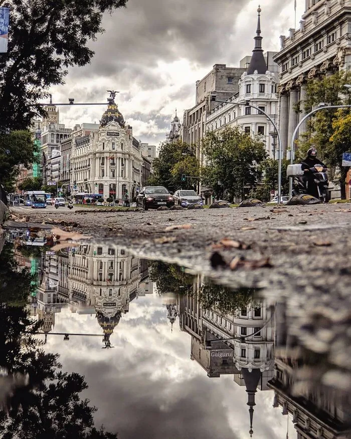 I Discover Hidden Parallel Worlds In Puddles And Other Reflections On My Smartphone (30 Pics)