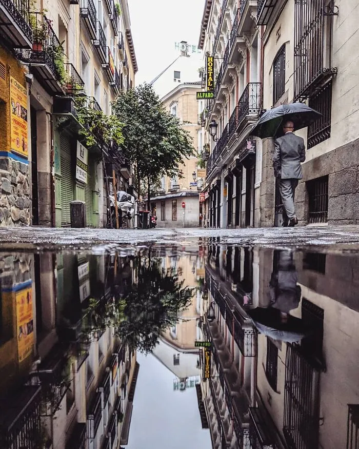 I Discover Hidden Parallel Worlds In Puddles And Other Reflections On My Smartphone (30 Pics)