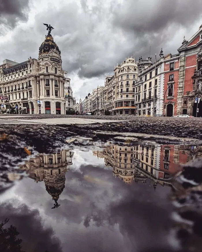 I Discover Hidden Parallel Worlds In Puddles And Other Reflections On My Smartphone (30 Pics)