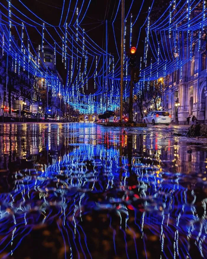I Discover Hidden Parallel Worlds In Puddles And Other Reflections On My Smartphone (30 Pics)