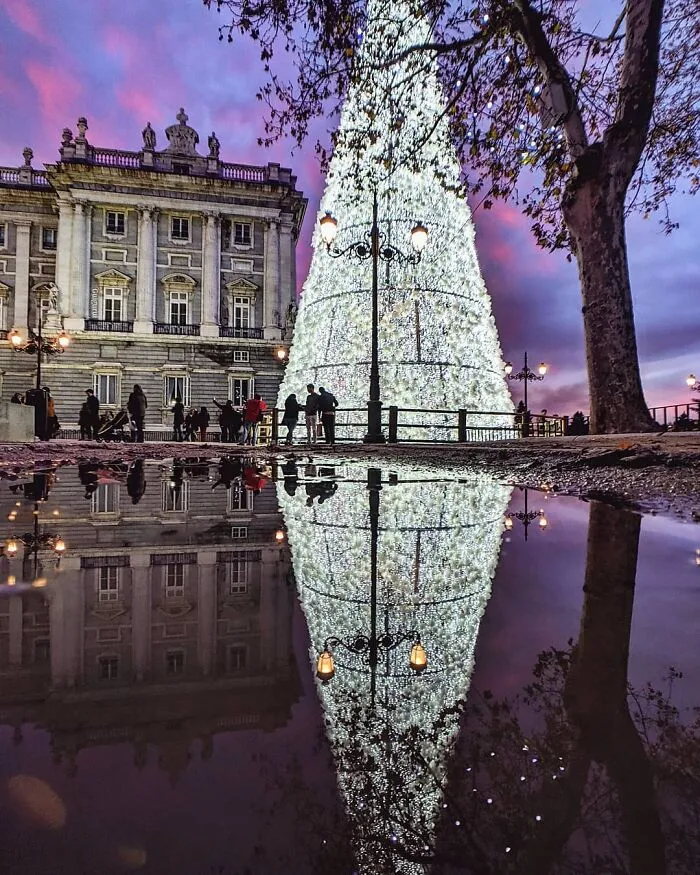 I Discover Hidden Parallel Worlds In Puddles And Other Reflections On My Smartphone (30 Pics)