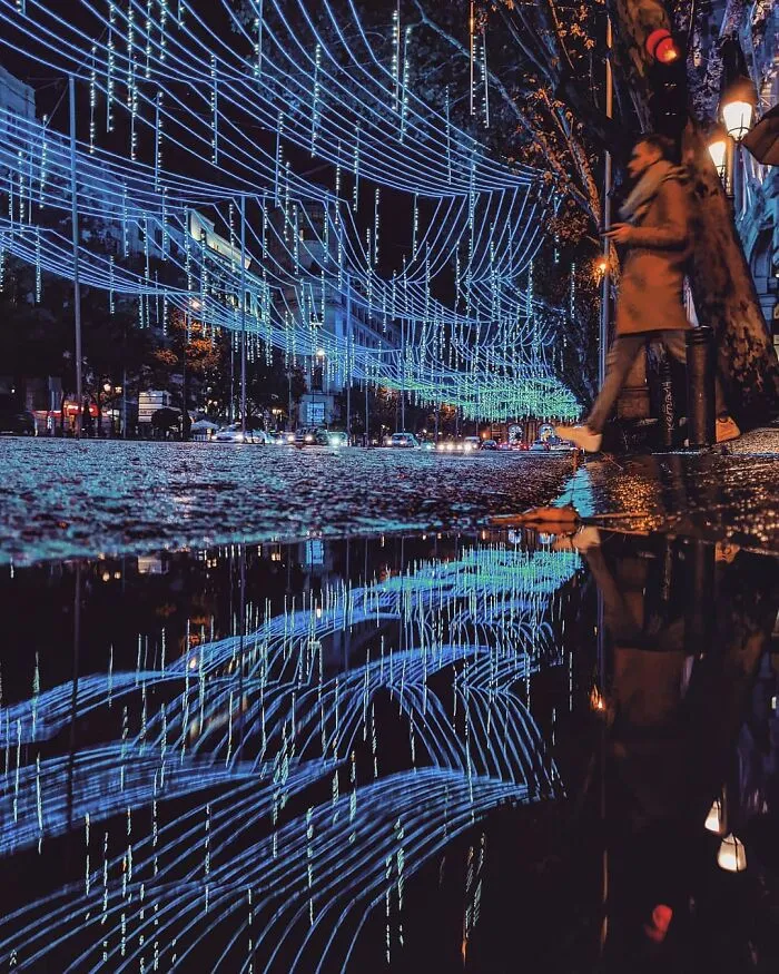 I Discover Hidden Parallel Worlds In Puddles And Other Reflections On My Smartphone (30 Pics)