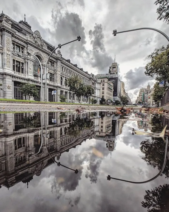 I Discover Hidden Parallel Worlds In Puddles And Other Reflections On My Smartphone (30 Pics)