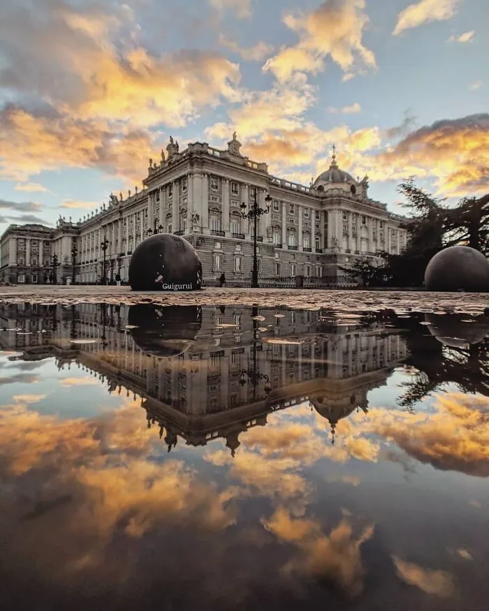 I Discover Hidden Parallel Worlds In Puddles And Other Reflections On My Smartphone (30 Pics)